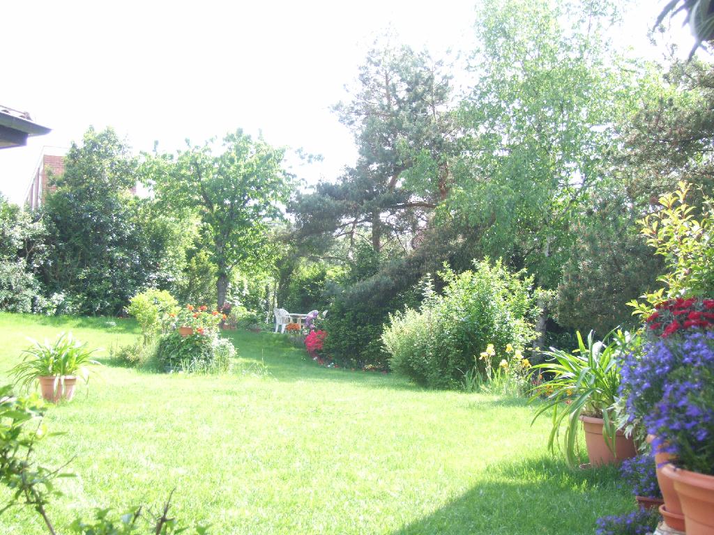 Cliquer pour voir l'image suivante