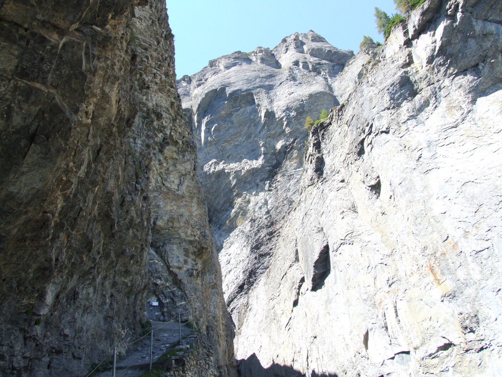 Clic pour voir l'image suivante