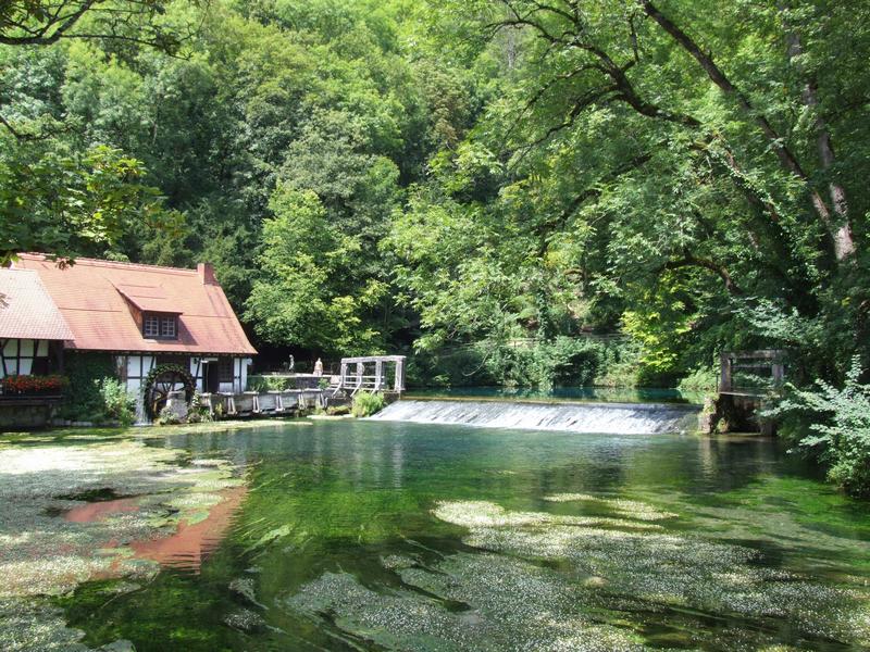 Cliquer pour voir l'image suivante