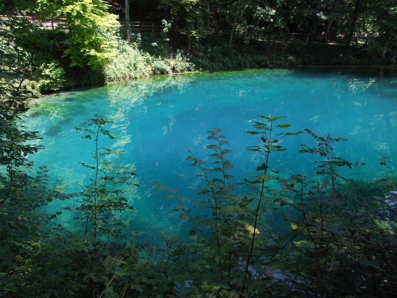 Cliquer pour voir l'image suivante