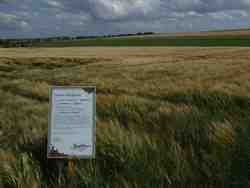 Cliquer pour agrandir l'image (800x600 pixels; 77 KB)