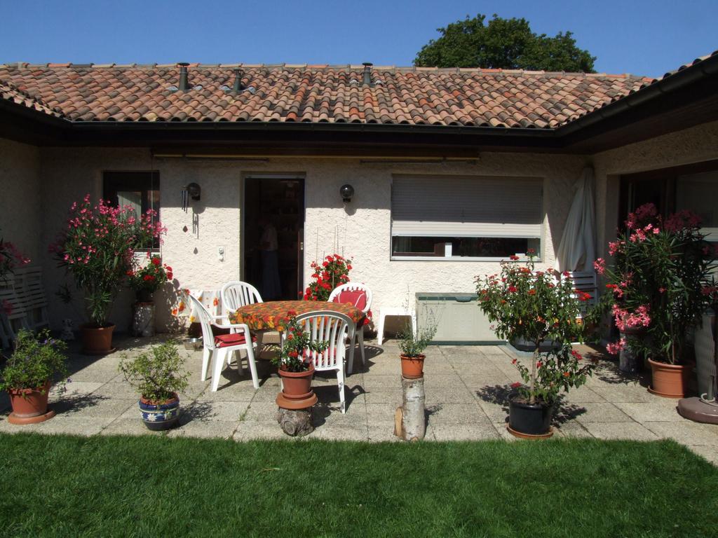 Cliquer pour voir l'image suivante