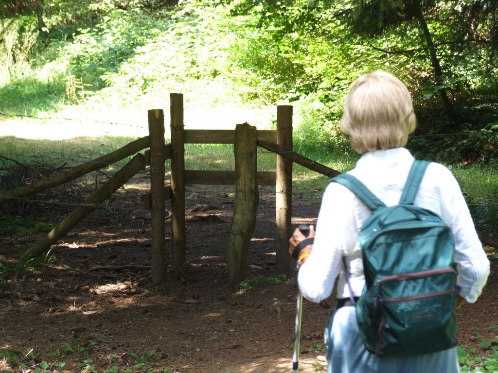 Clic pour voir l'image suivante