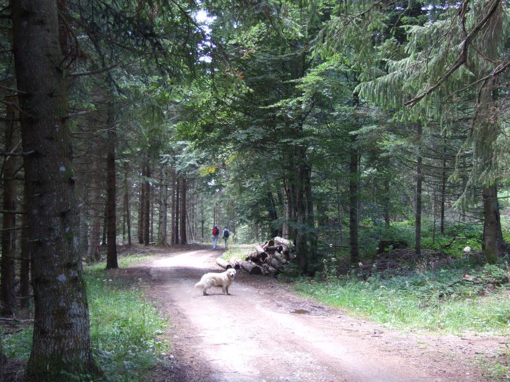 Clic pour voir l'image suivante