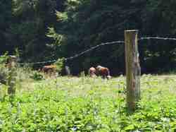 Clic pour agrandir l'�mage (1024x768 pixels; 147 KB)