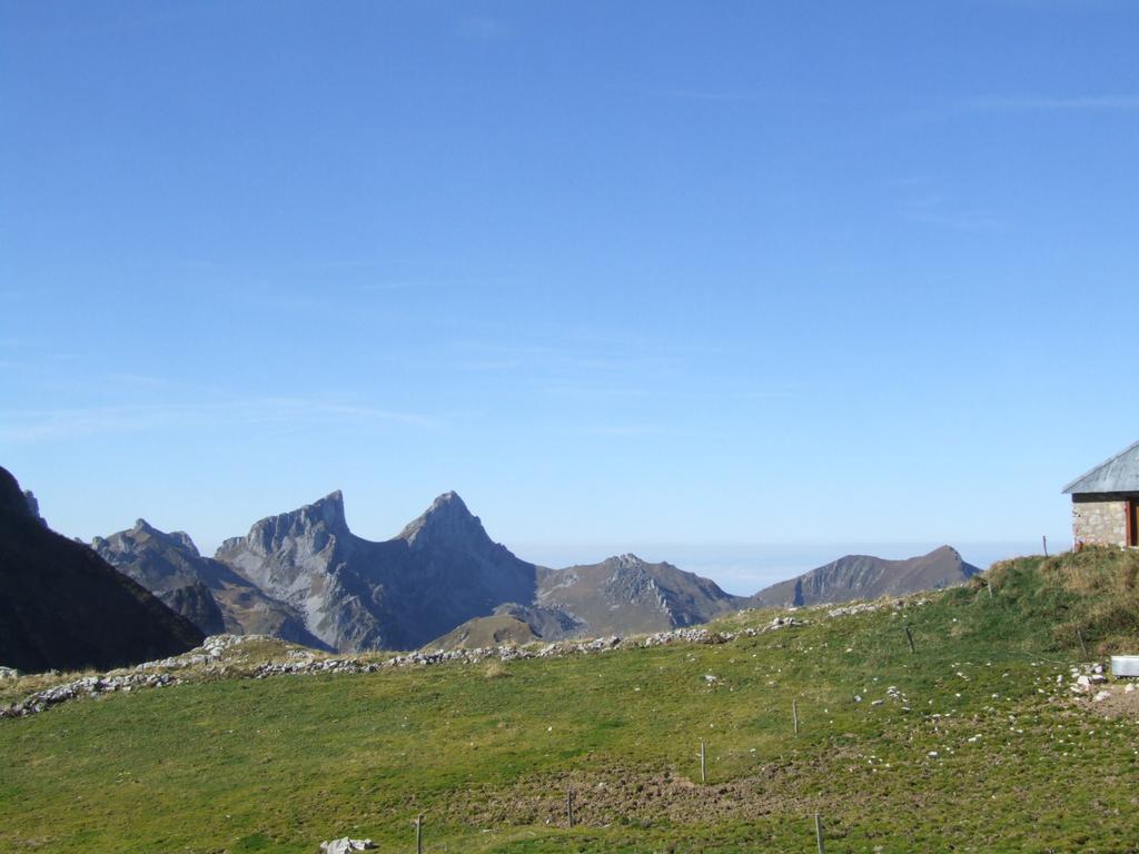 Clic pour voir l'image suivante