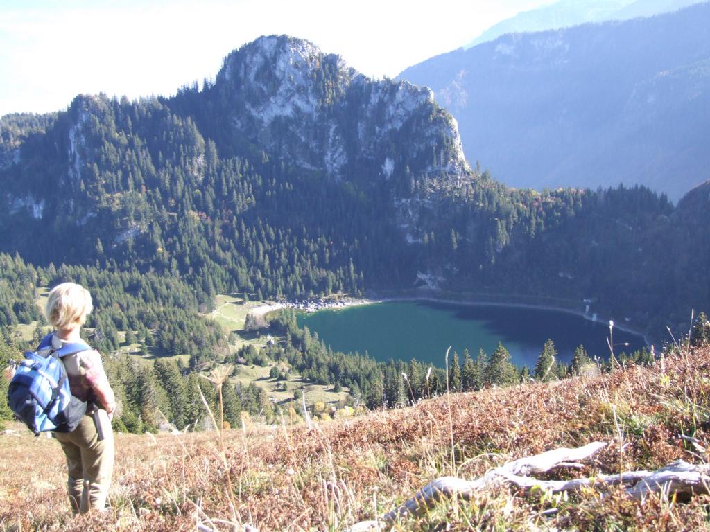 Clic pour voir l'image suivante