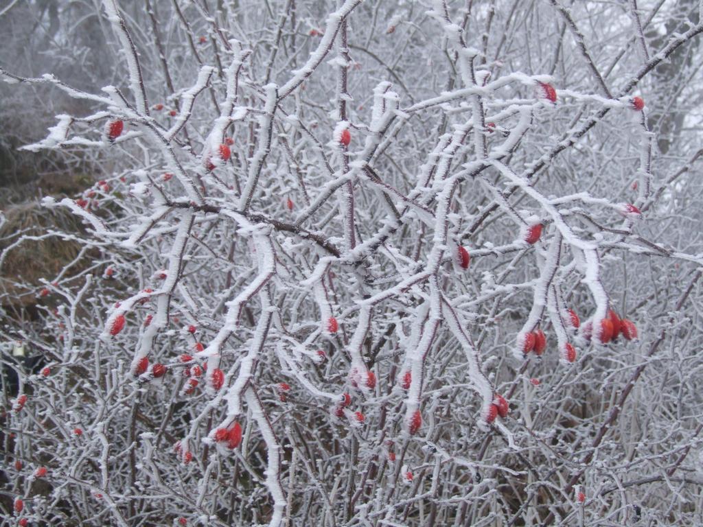 Clic pour voir l'image suivante
