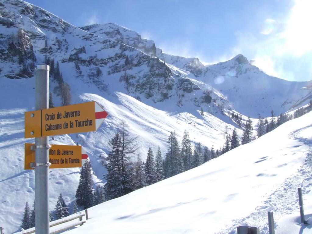 Clic pour voir l'image suivante