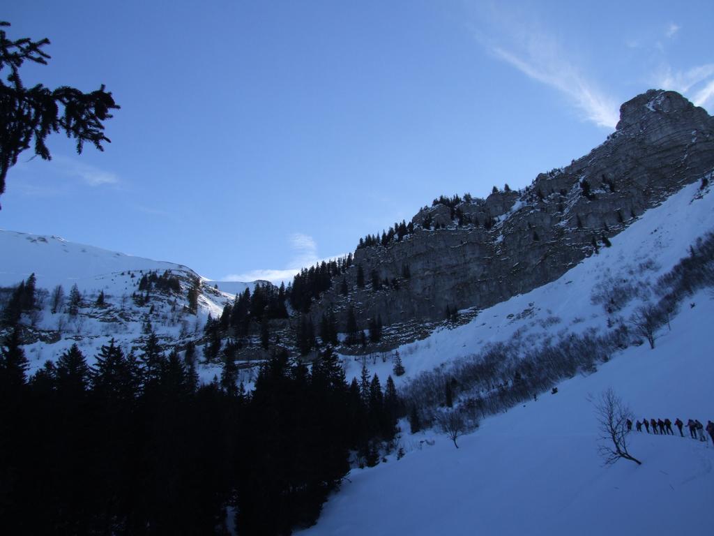 Clic pour voir l'image suivante