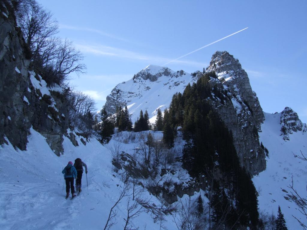 Clic pour voir l'image suivante