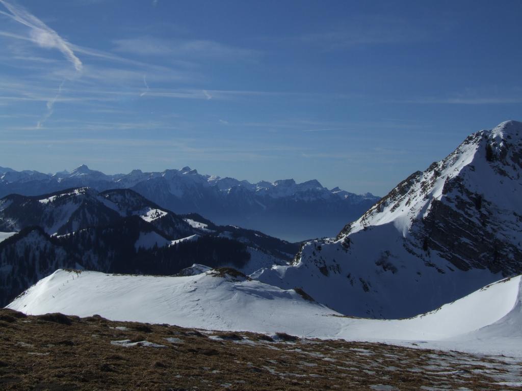 Clic pour voir l'image suivante