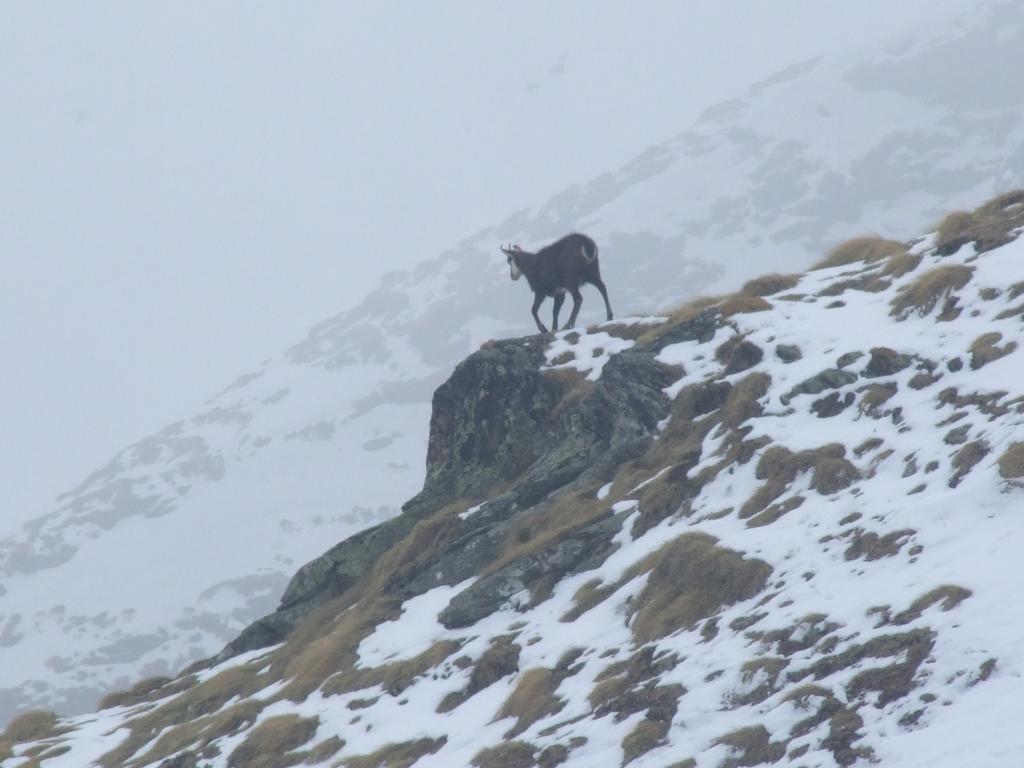 Clic pour voir l'image suivante