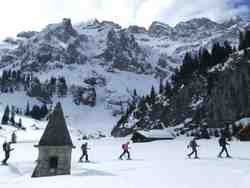 Clic pour agrandir l'mage (800x600 pixels; 73 KB)