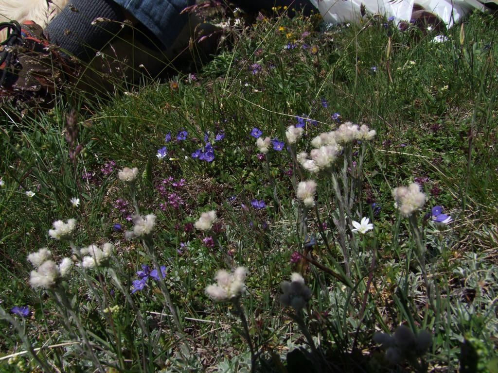 Clic pour voir l'image suivante