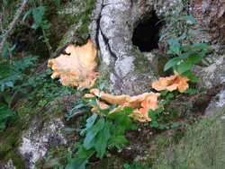 Clic pour agrandir l'îmage (1024x768 pixels; 214 KB)