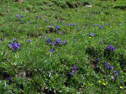 Clic pour agrandir l'îmage (1024x768 pixels; 294 KB)