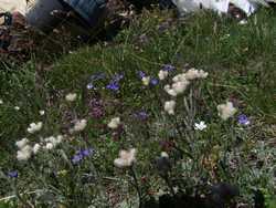 Clic pour agrandir l'îmage (1024x768 pixels; 222 KB)