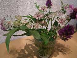 Clic pour agrandir l'îmage (1024x768 pixels; 145 KB)