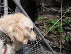 Clic pour agrandir l'îmage (1024x768 pixels; 129 KB)