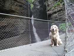 Clic pour agrandir l'îmage (1024x768 pixels; 252 KB)