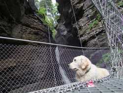 Clic pour agrandir l'îmage (1024x768 pixels; 237 KB)