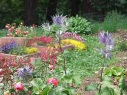 Clic pour agrandir l'îmage (1024x768 pixels; 151 KB)