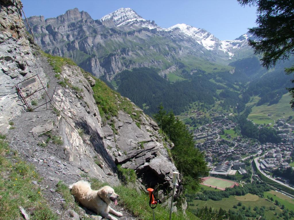 Clic pour voir l'image suivante