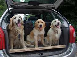 Pour agrandir l'image (1024x768 pixels; 136 KB)