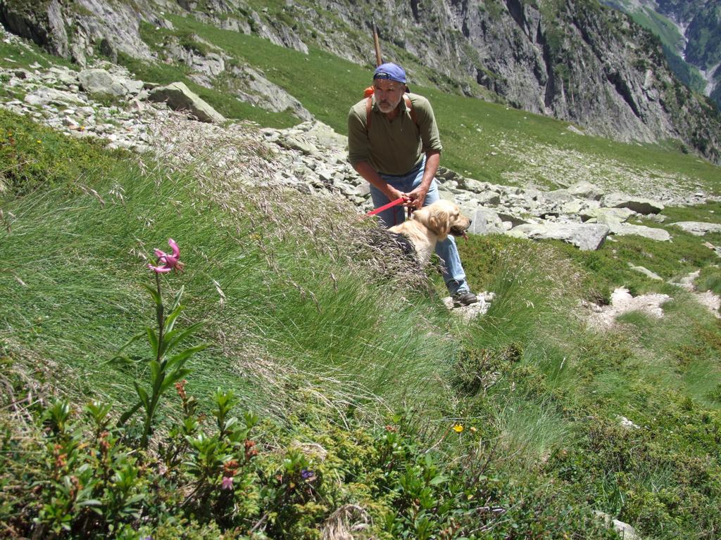 Pour l'image suivante