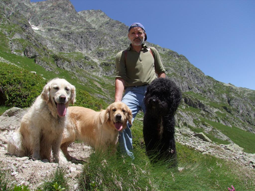 Pour l'image suivante