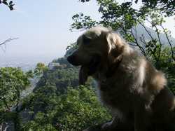 Pour agrandir l'image (1024x768 pixels; 165 KB)