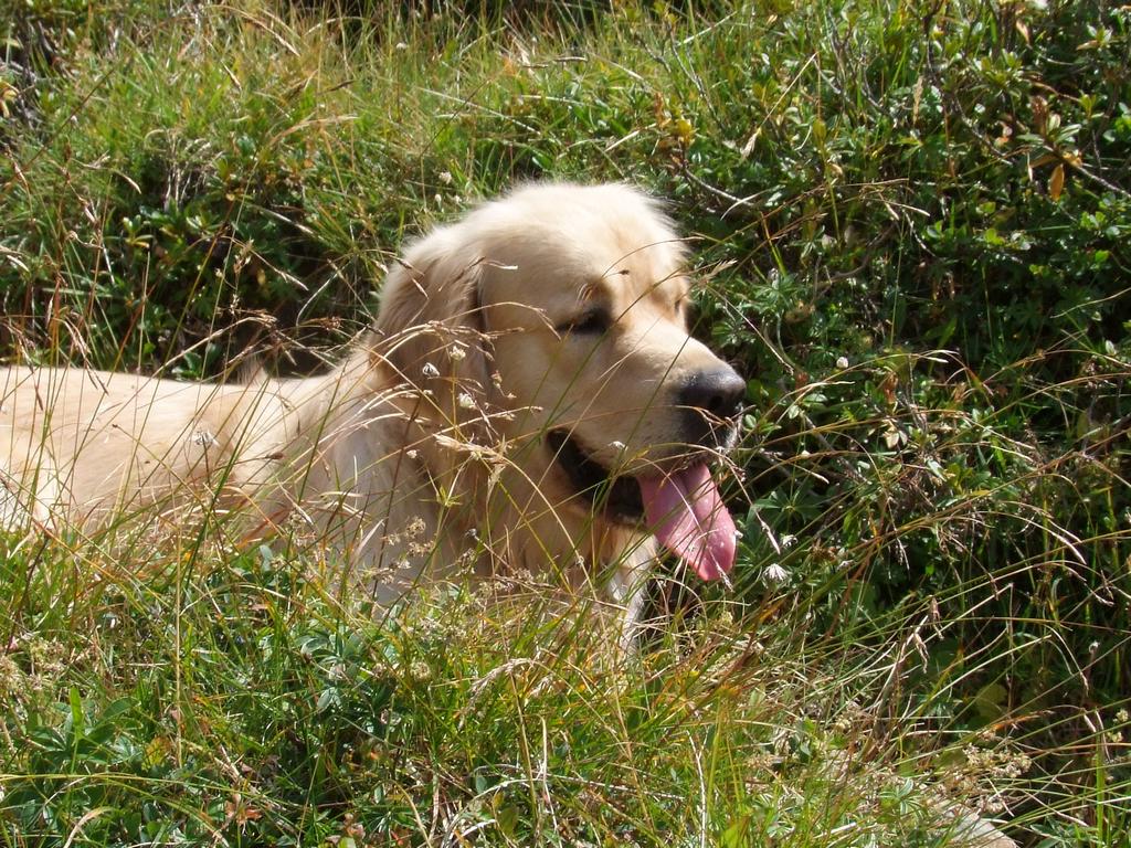 Pour l'image suivante