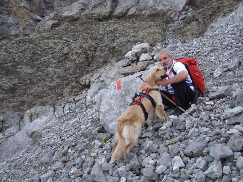 Pour l'image suivante