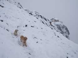 Pour agrandir l'image (1024x768 pixels; 80 KB)