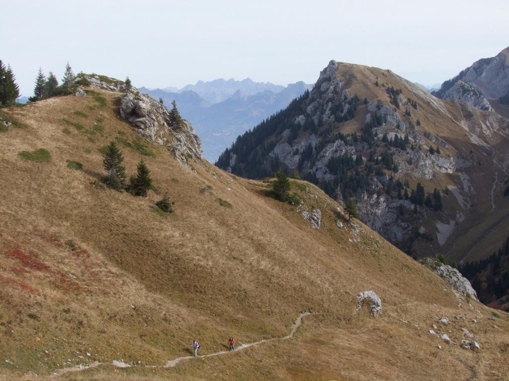 Pour l'image suivante