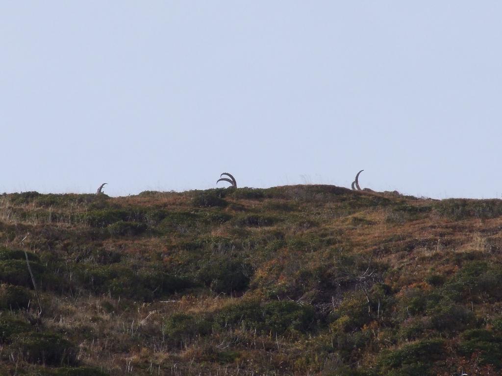 Pour l'image suivante