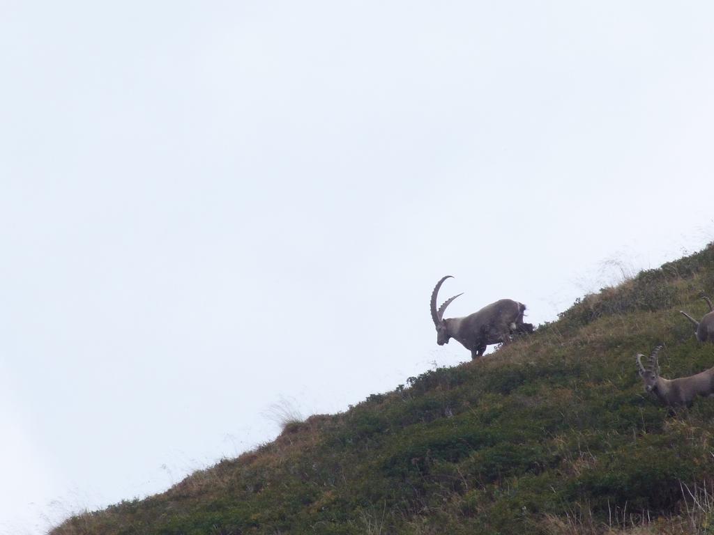 Pour l'image suivante
