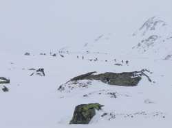 Pour agrandir l'image (1024x768 pixels; 67 KB)