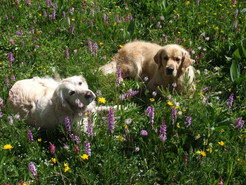 Cliquer pour voir l'image suivante