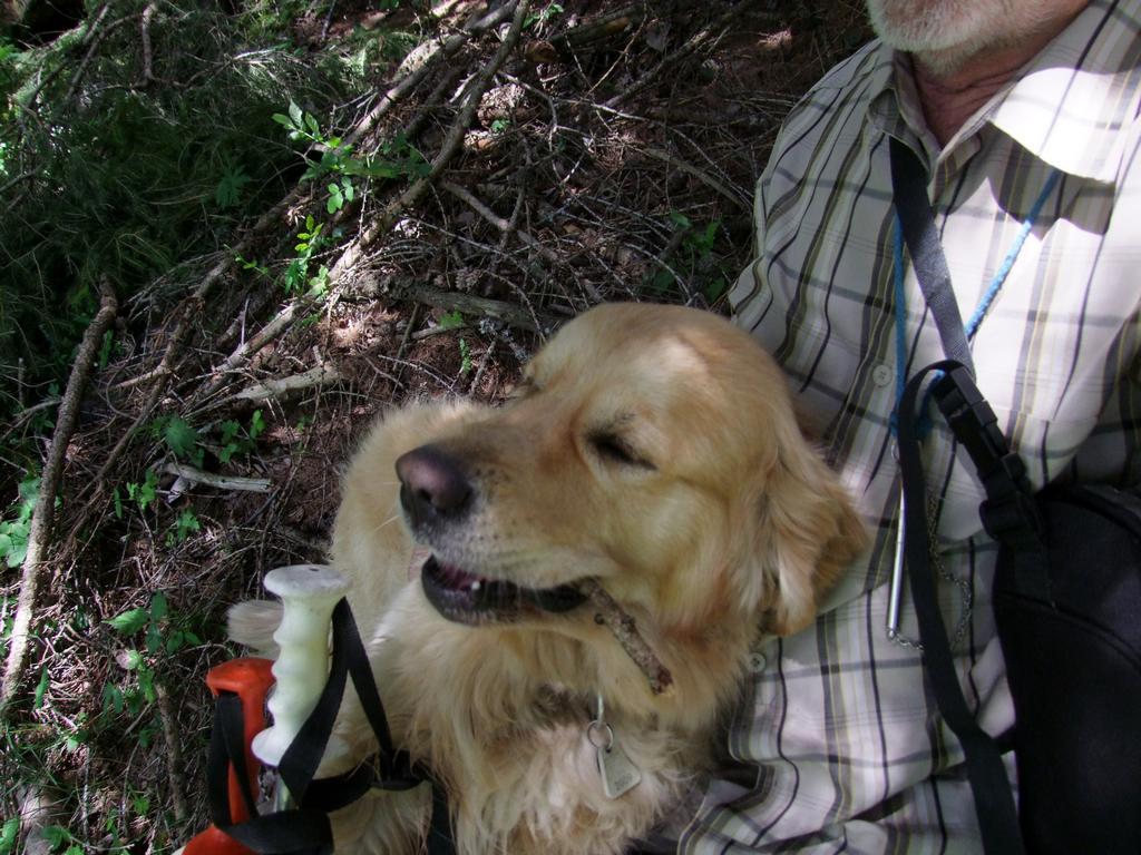 Cliquer pour voir l'image suivante