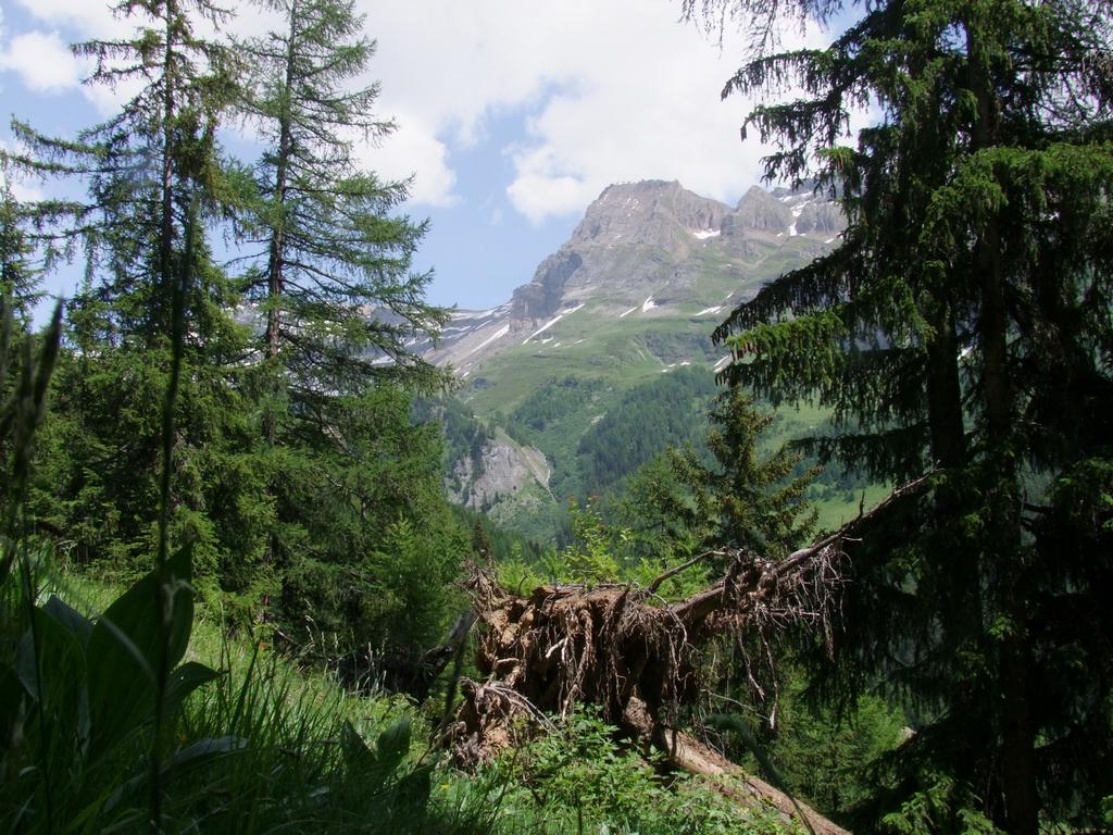 Cliquer pour voir l'image suivante