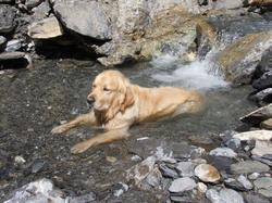 Cliquer pour agrandir l'image (1024x768 pixels; 192 KB)