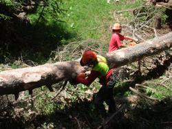 Cliquer pour agrandir l'image (1024x768 pixels; 193 KB)