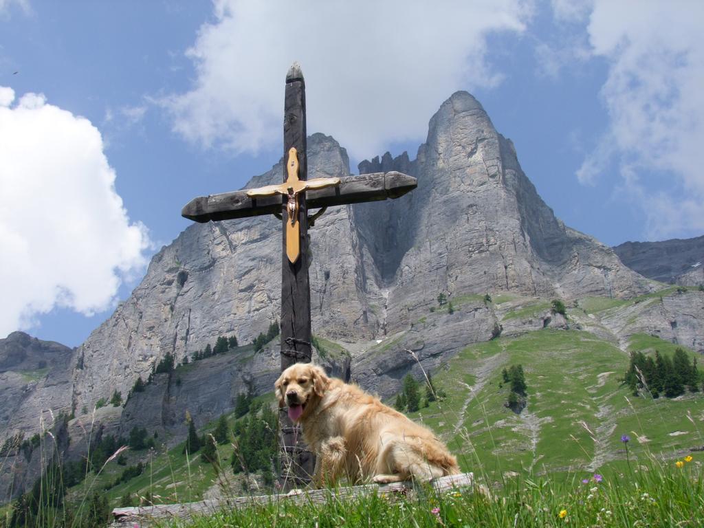 Click to see next picture