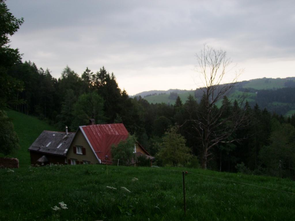 Pour l'image suivante