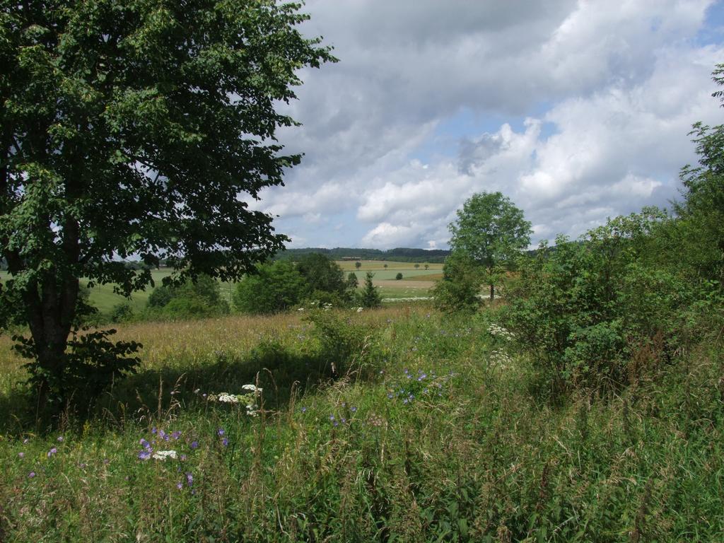 Pour l'image suivante