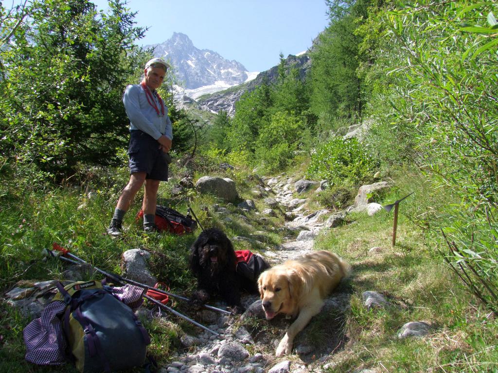 Pour l'image suivante