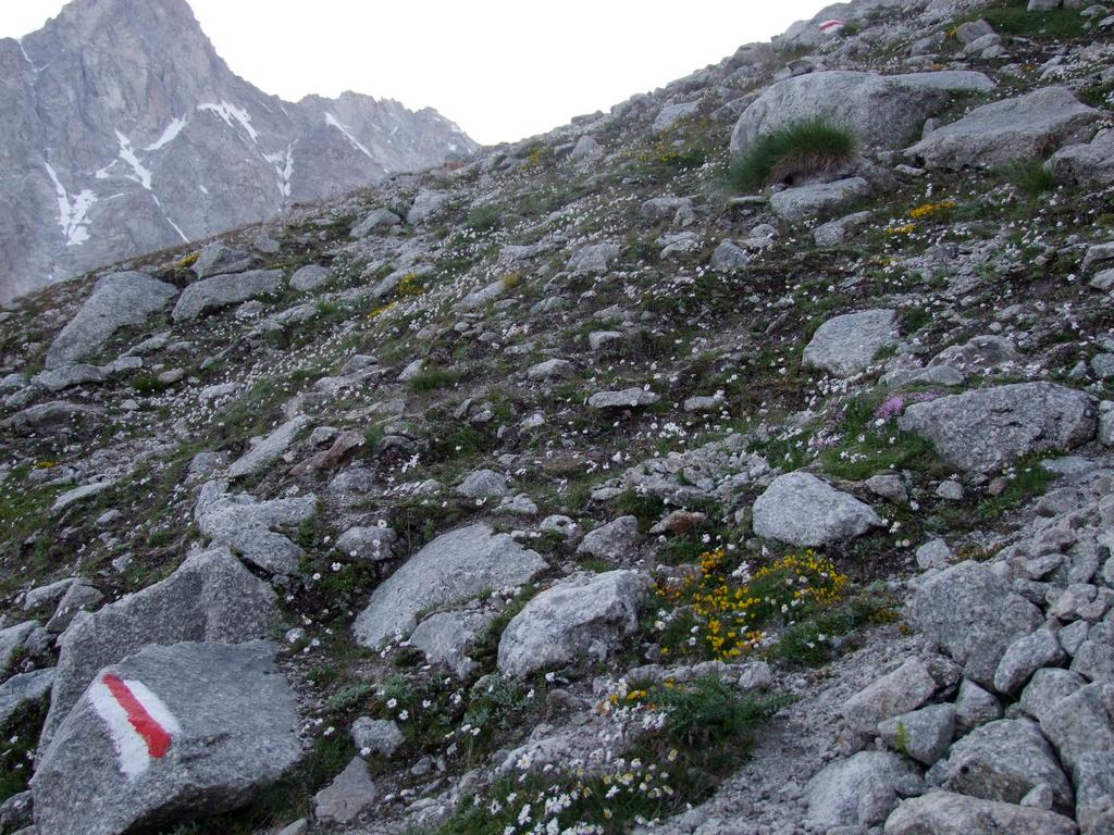 Pour l'image suivante