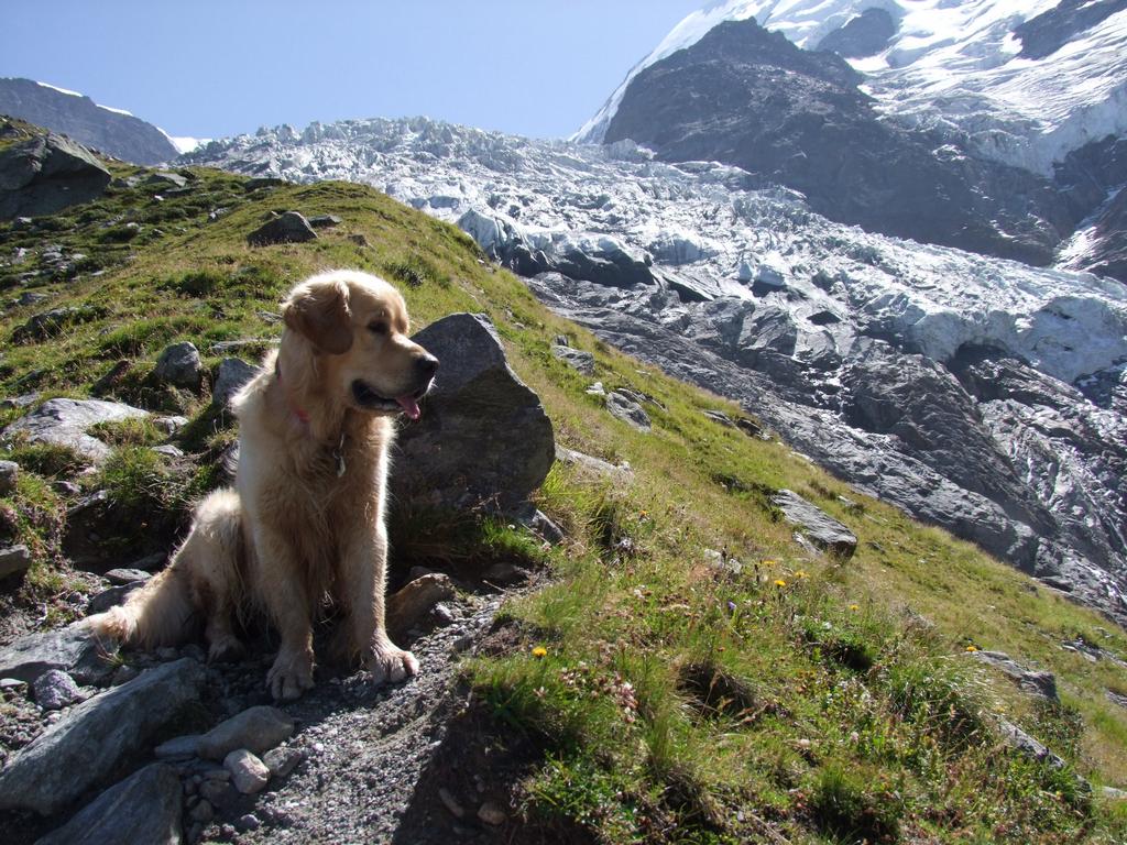 Pour l'image suivante